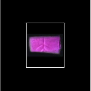 New Women's Italian Designer Chiffon Scarf